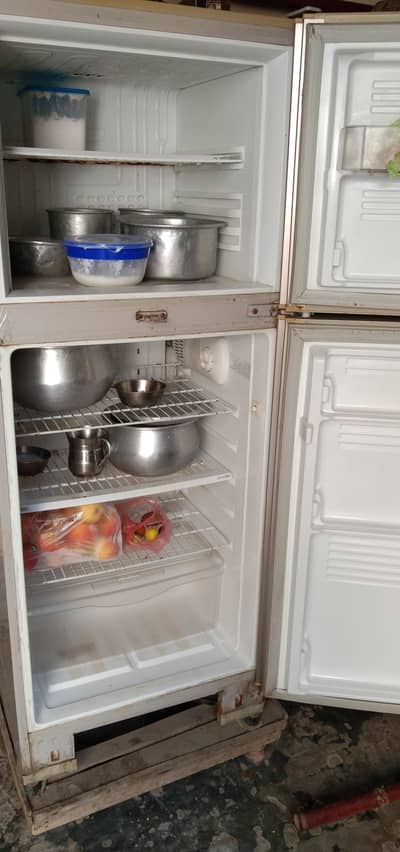 pel fridge medium size