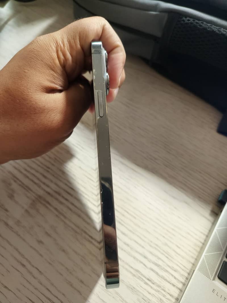Apple iPhone 13 Pro Max 2