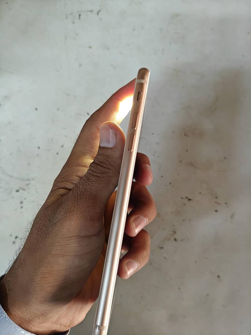 Apple iPhone 8 Plus 3