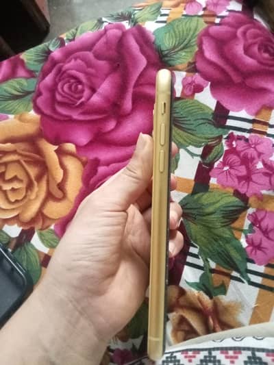 iPhone 11 64GB PTA Approved - Yellow | With Charger