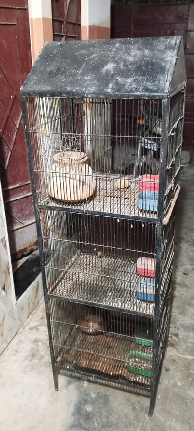 birds cage