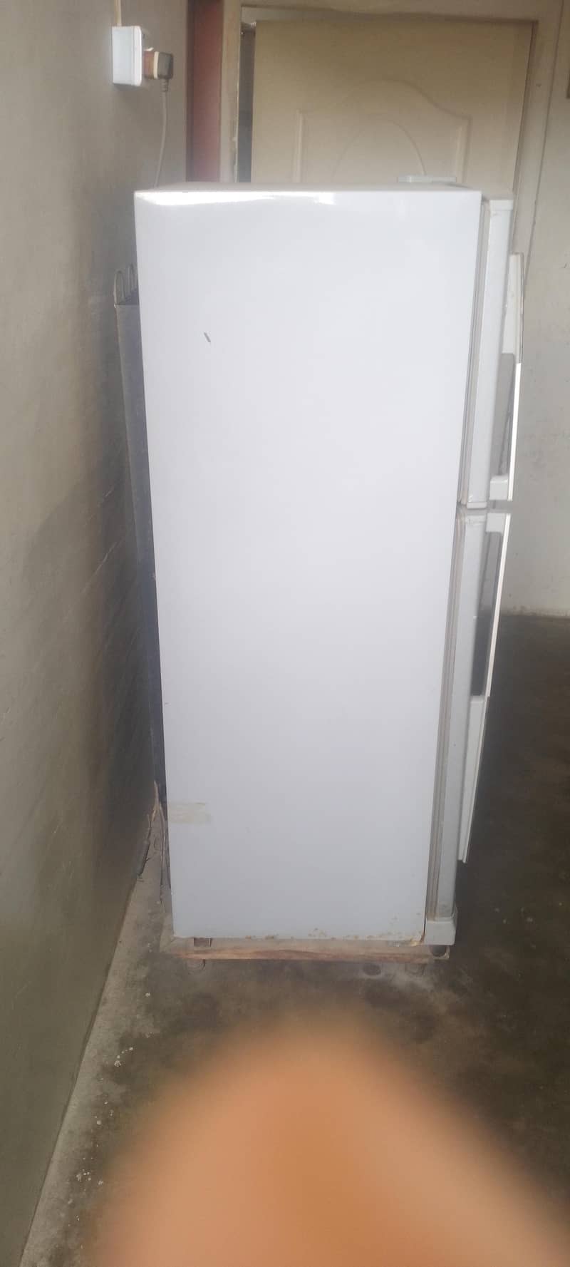fridge 1