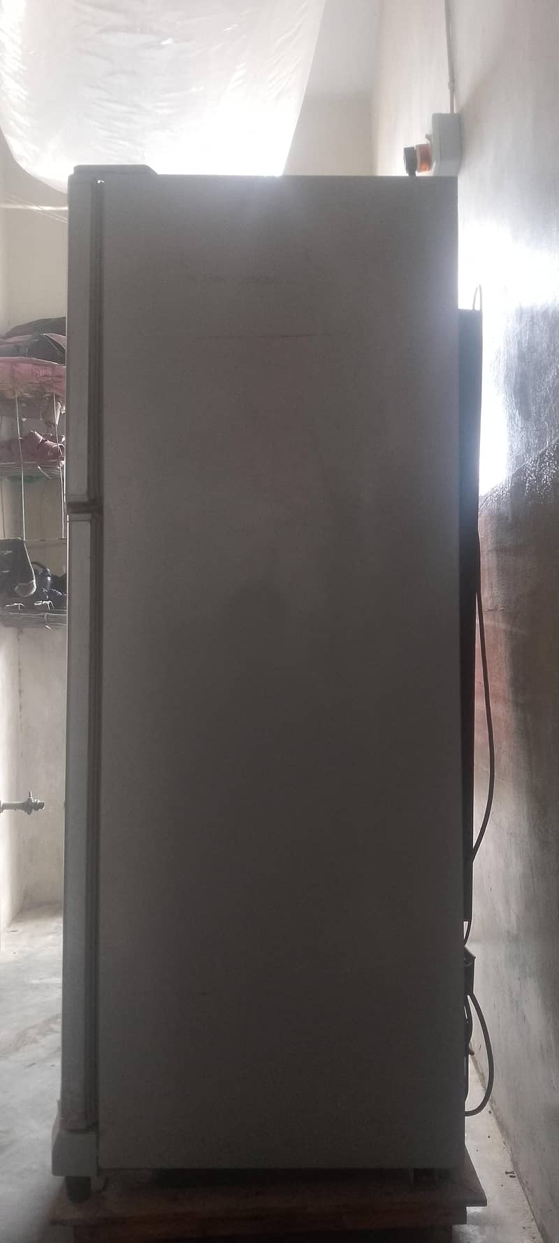 fridge 2