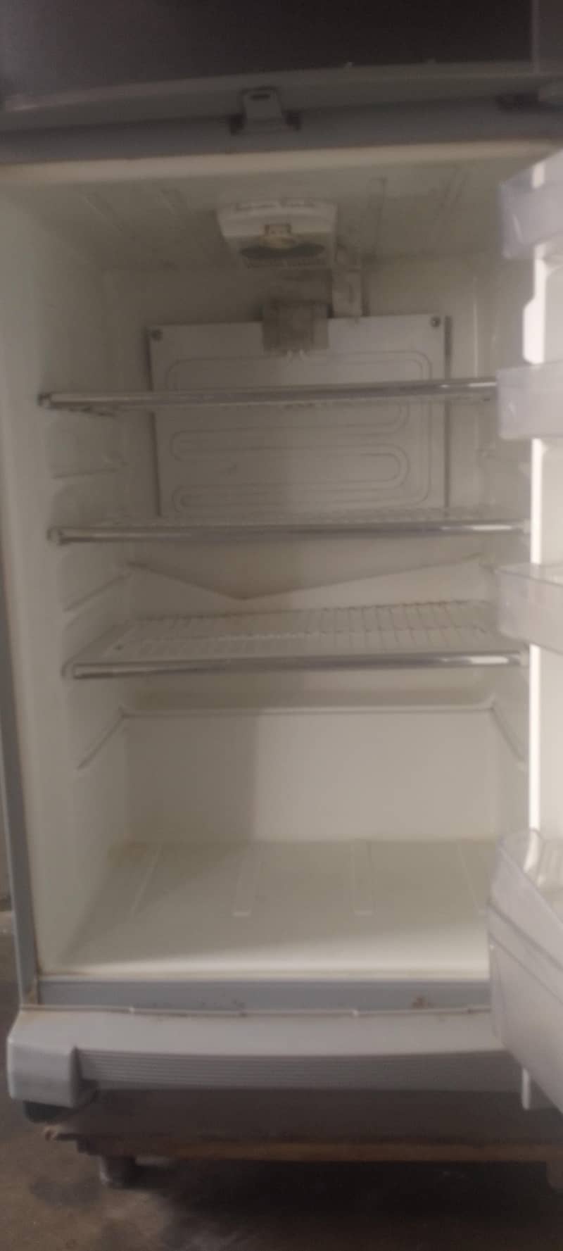 fridge 4
