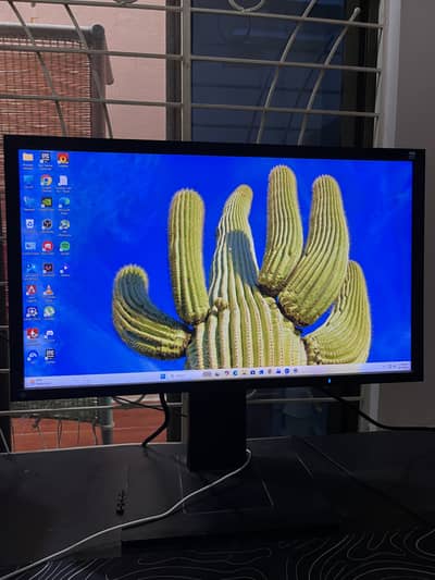 EIZO FlexScan EV2336W