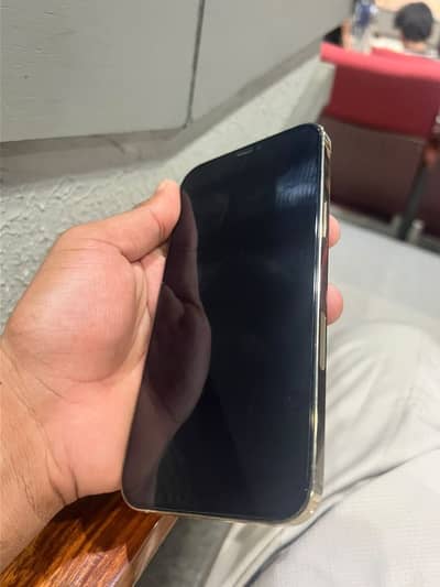 Apple iPhone 12 Pro Max