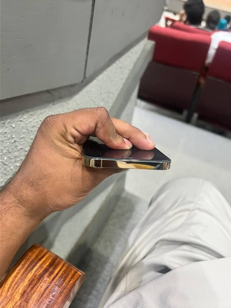 Apple iPhone 12 Pro Max 1