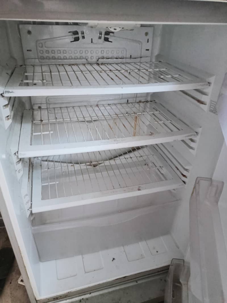 Pel Fridge large 1