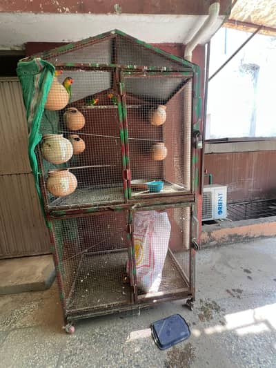 Parrorts cages for sale