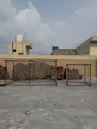 Aseel cage pinjra