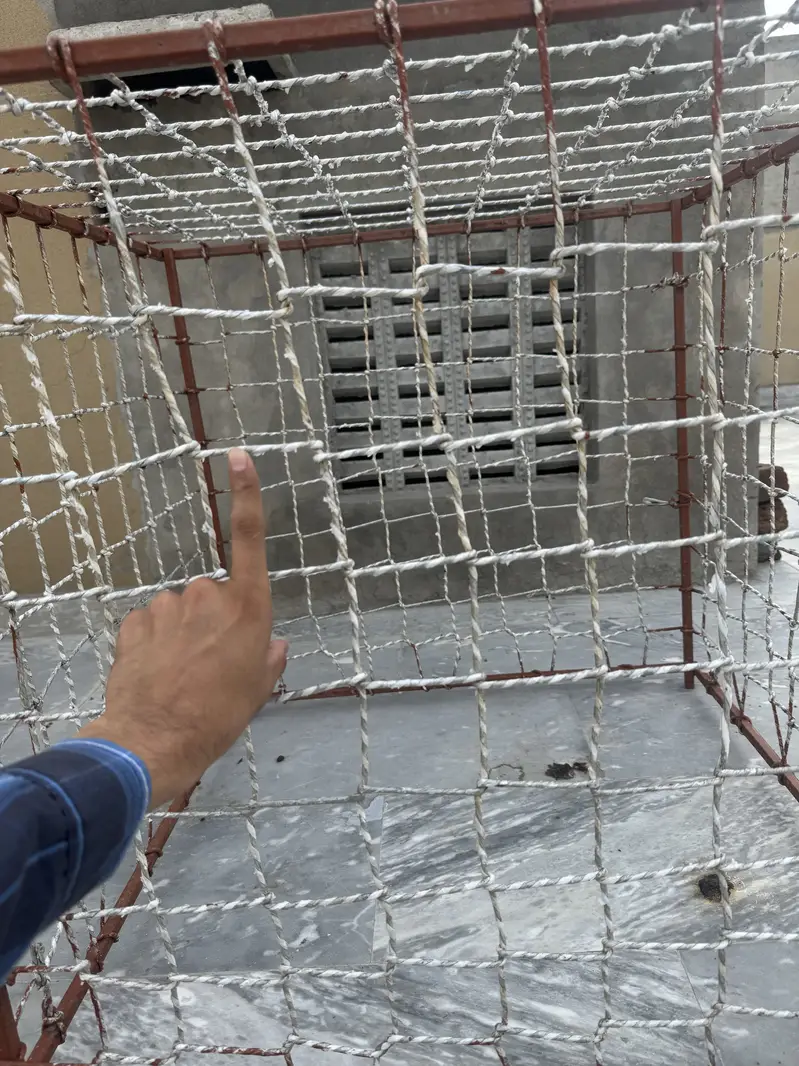 Aseel cage pinjra — photo 4