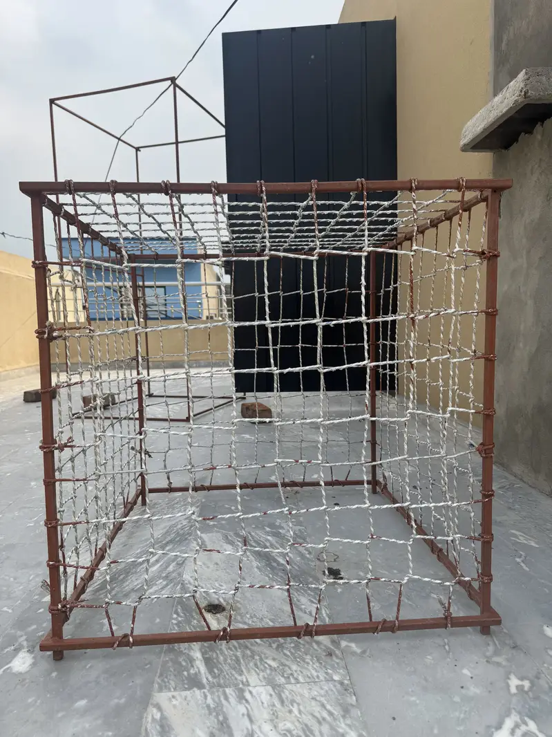 Aseel cage pinjra — photo 8