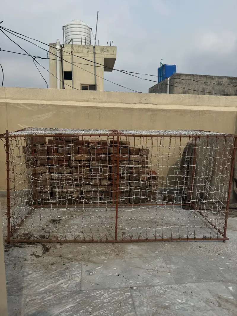 Aseel cage pinjra — photo 10