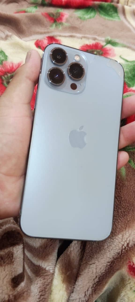 Apple iPhone 13 Pro Max 1