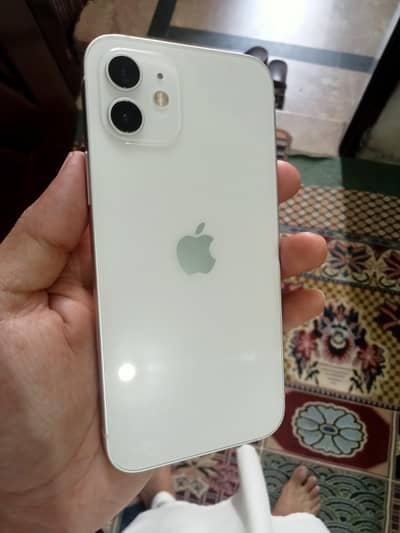 Apple iPhone 12