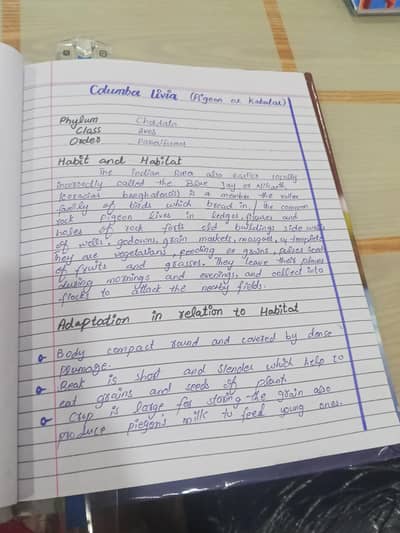 assignment writing