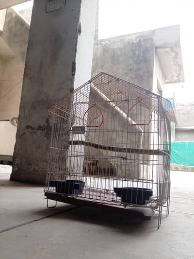 birds cage , hen cage with yellow and white combination