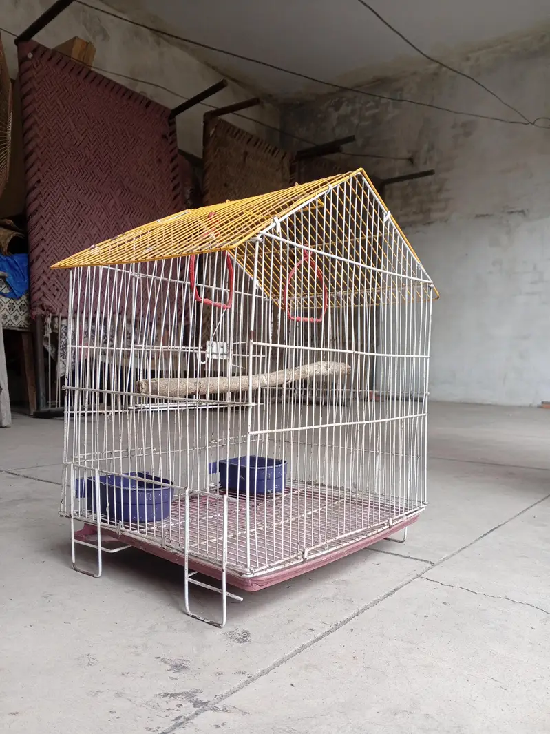birds cage , hen cage with yellow and white combination — photo 2