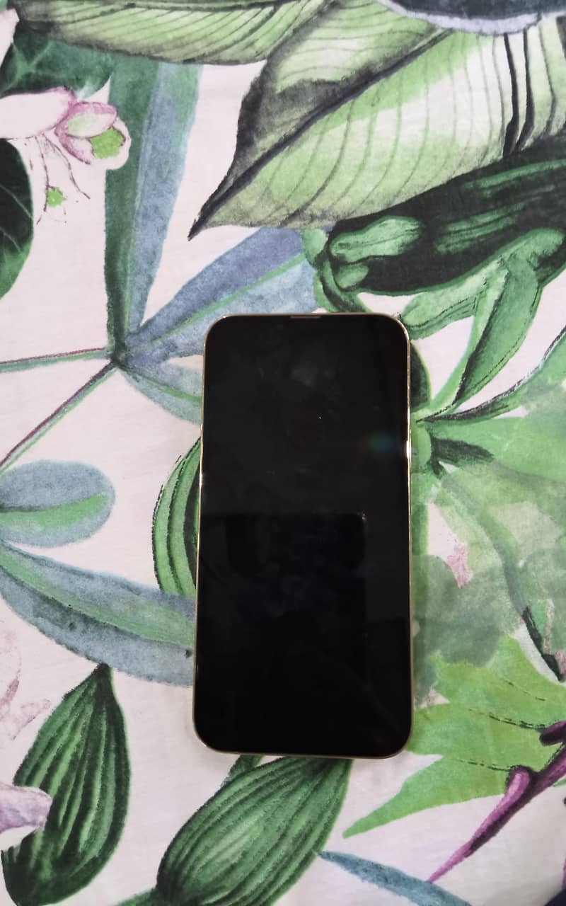 iphone 13 pro max 2