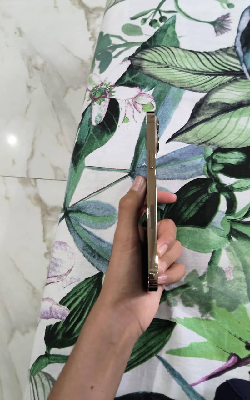 iphone 13 pro max 3
