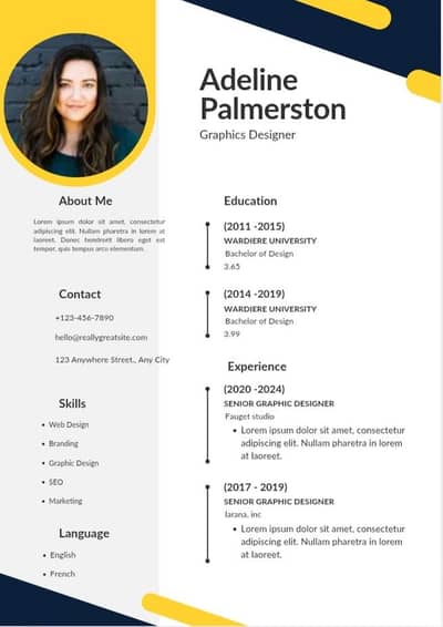 PROFESSIONAL CV MAKER