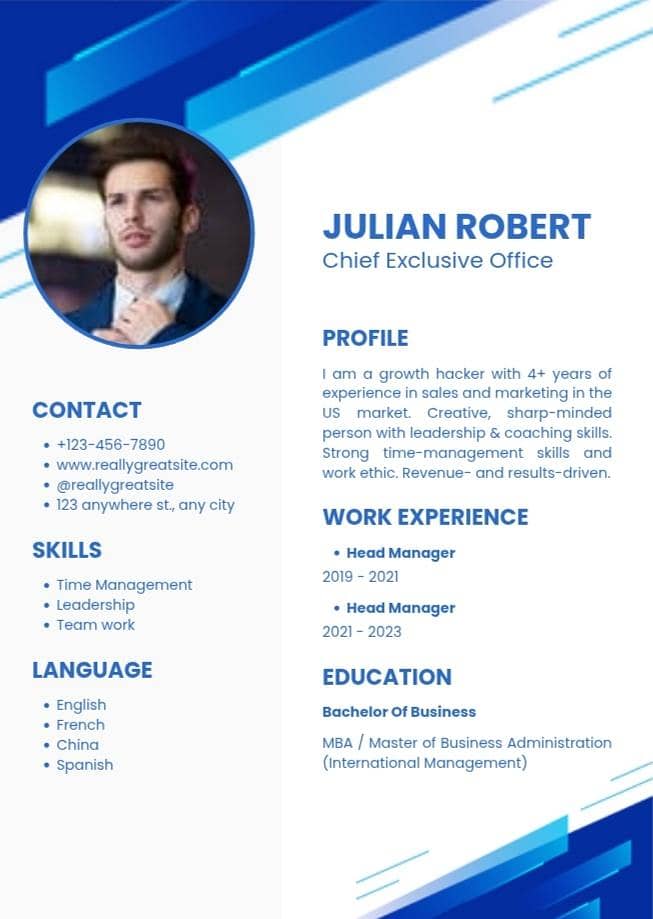 PROFESSIONAL CV MAKER 1