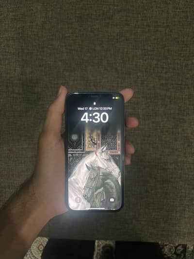 Iphone 12 jv lush condition