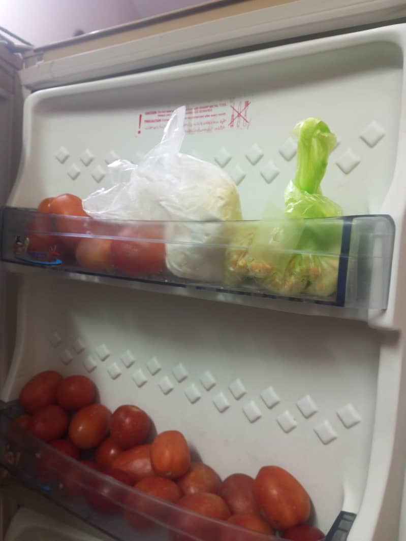 pel refrigerator 1
