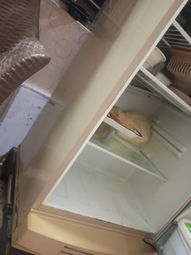 pel refrigerator 2