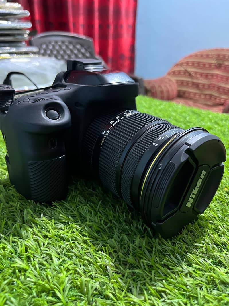 Canon 80d 0