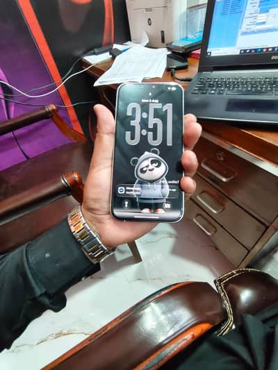 Apple iPhone 13 Pro Max