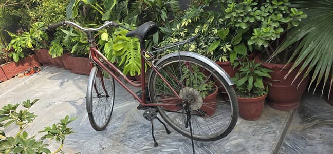 bicycle 24"