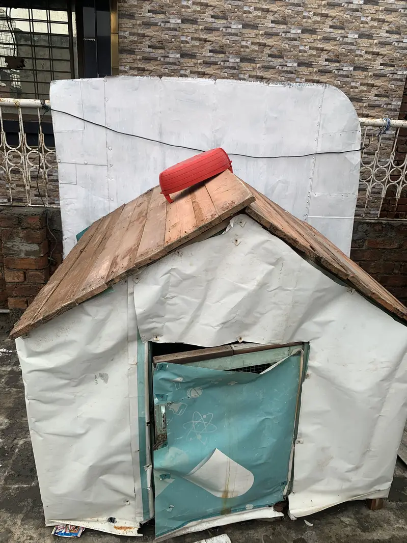 Hen cage — photo 3