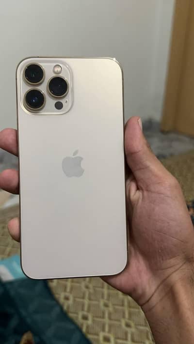 Apple iPhone 13 Pro Max