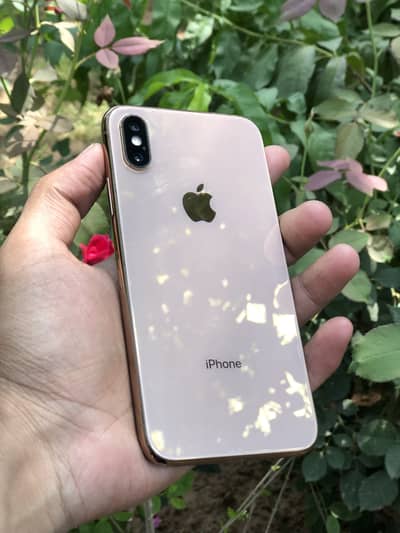 Apple iPhone XS