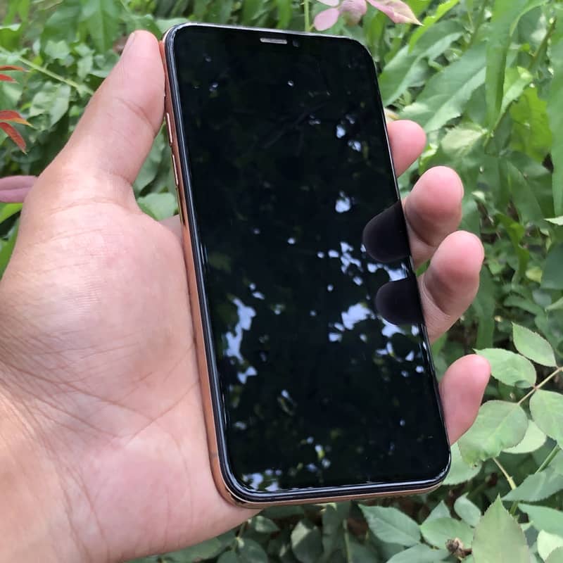 Apple iPhone XS 1