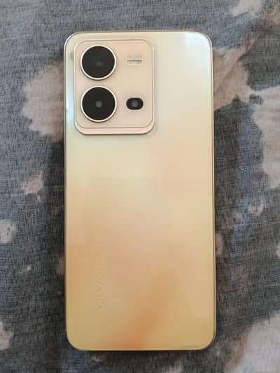 Vivo V25e