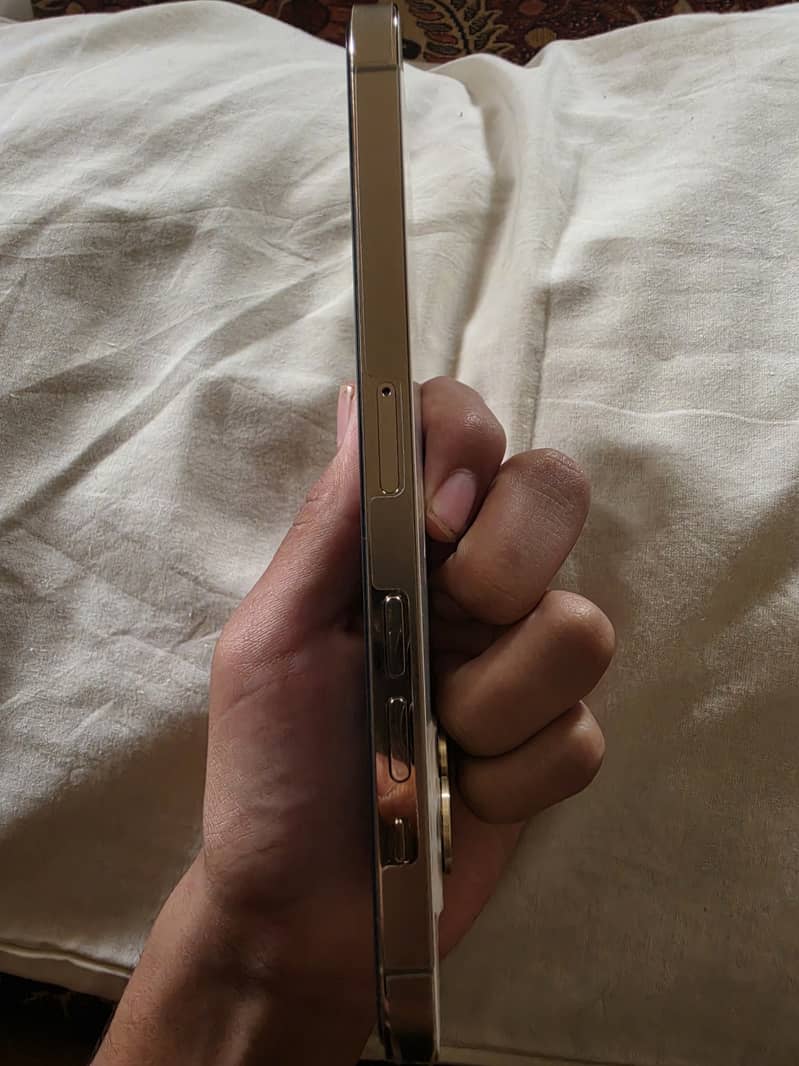 Apple iPhone 12 Pro Max 4