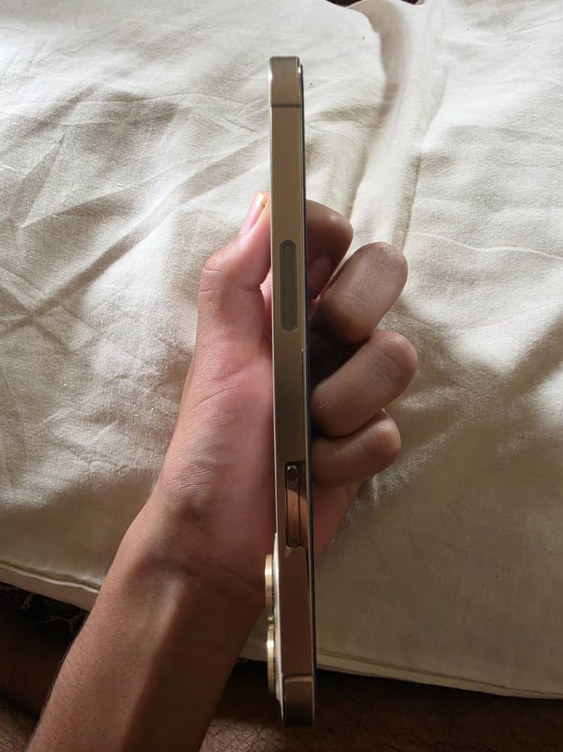 Apple iPhone 12 Pro Max 5
