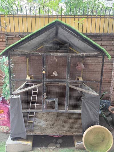 birds cage