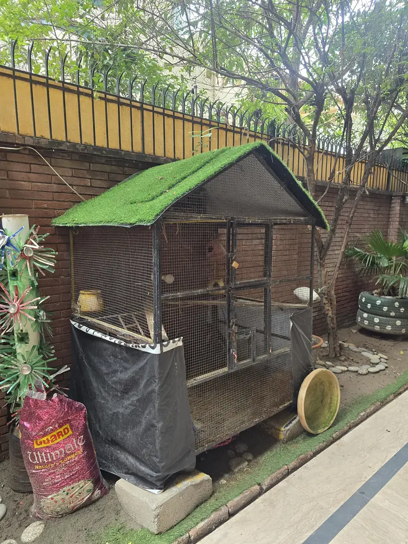 birds cage — photo 2