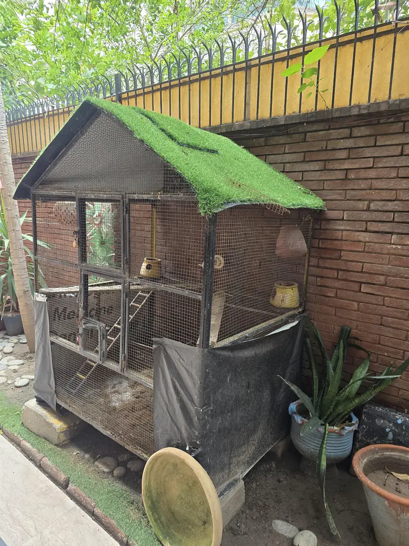 birds cage — photo 3