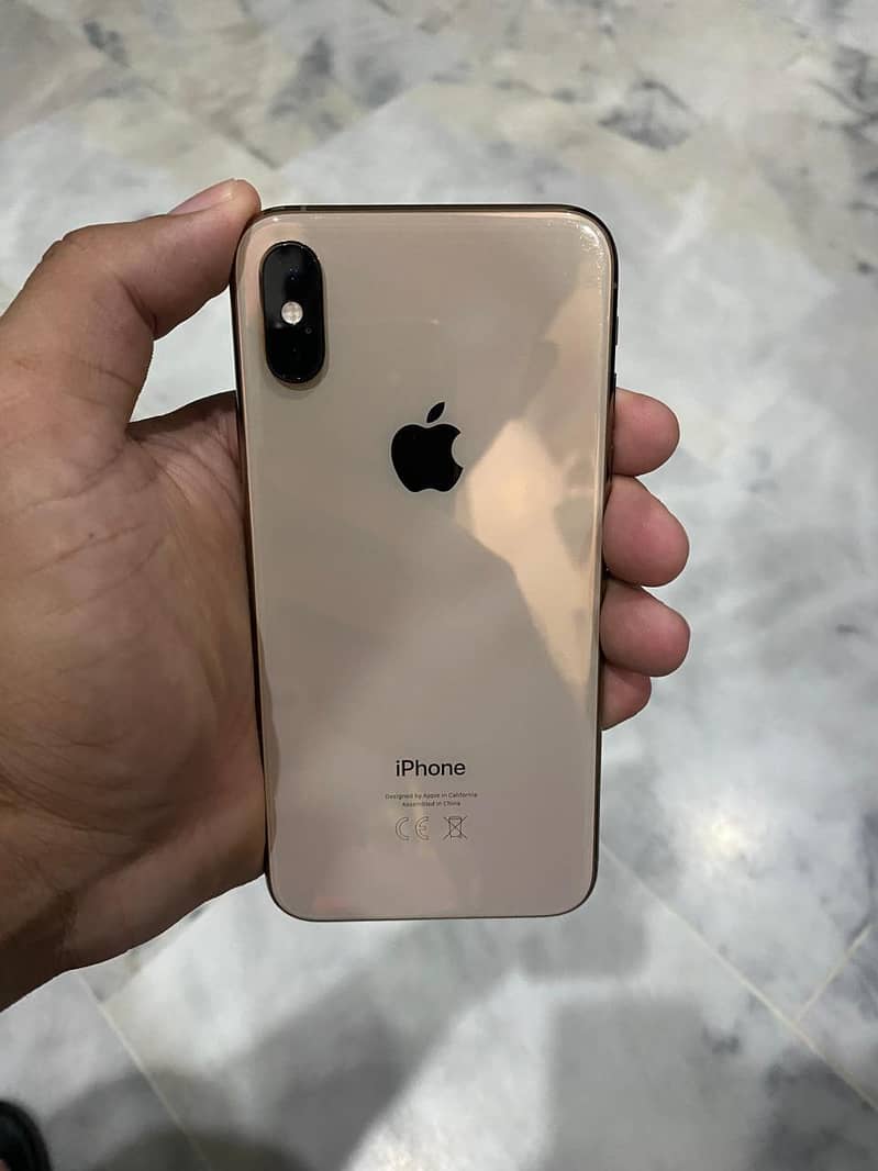 Apple iPhone XS 0