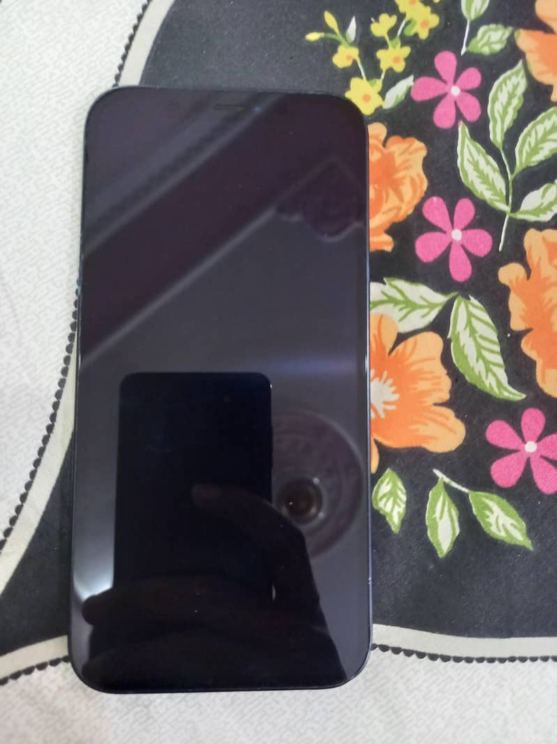 Apple iPhone 12 1