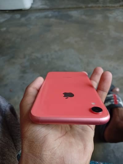 Apple iPhone XR