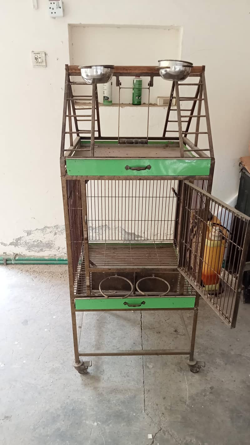 new condition 1