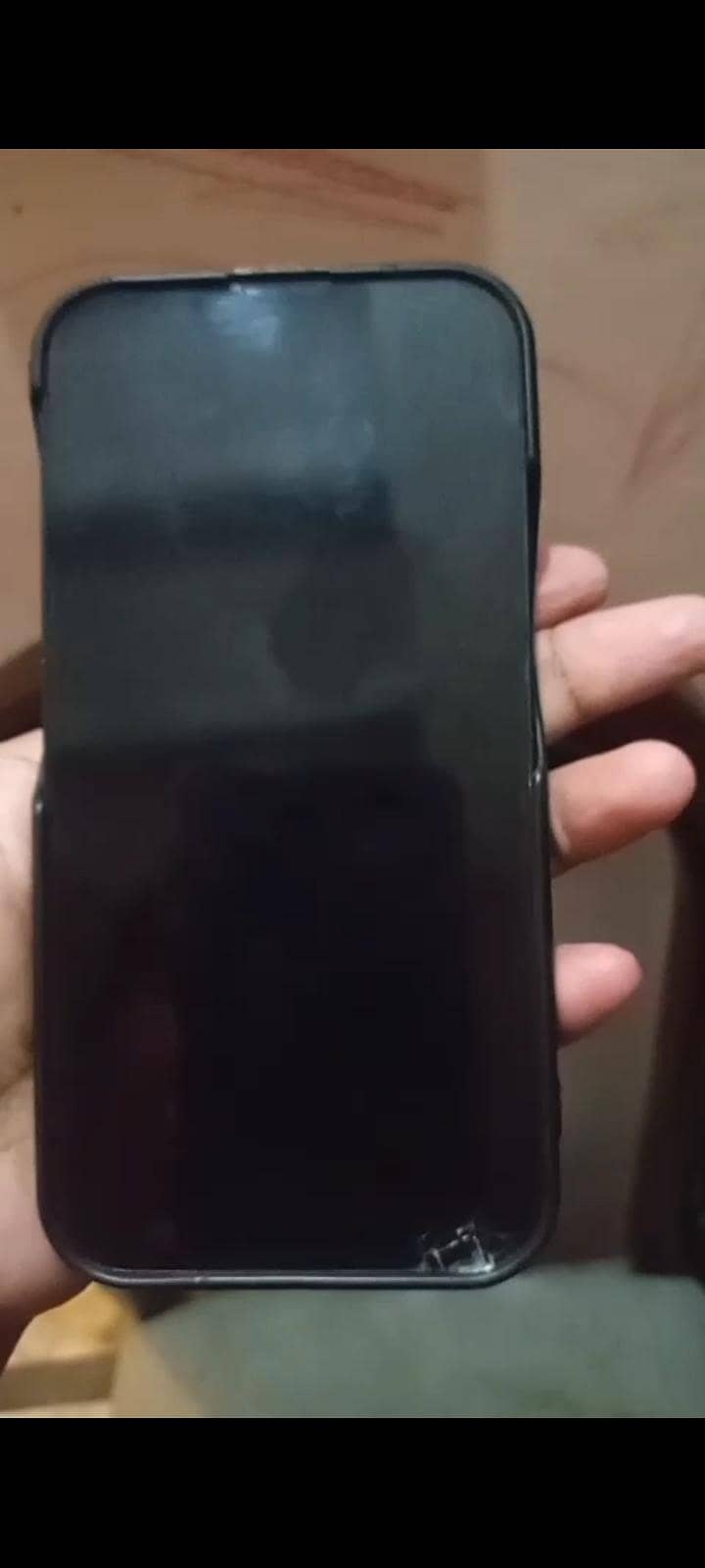 Apple iPhone 13 0