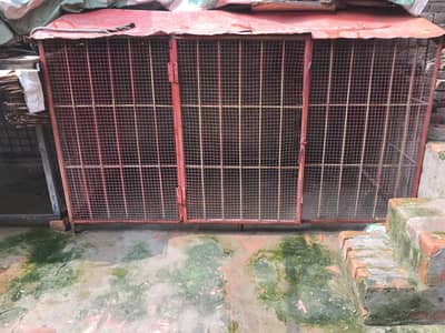 Big cage urgent for sale