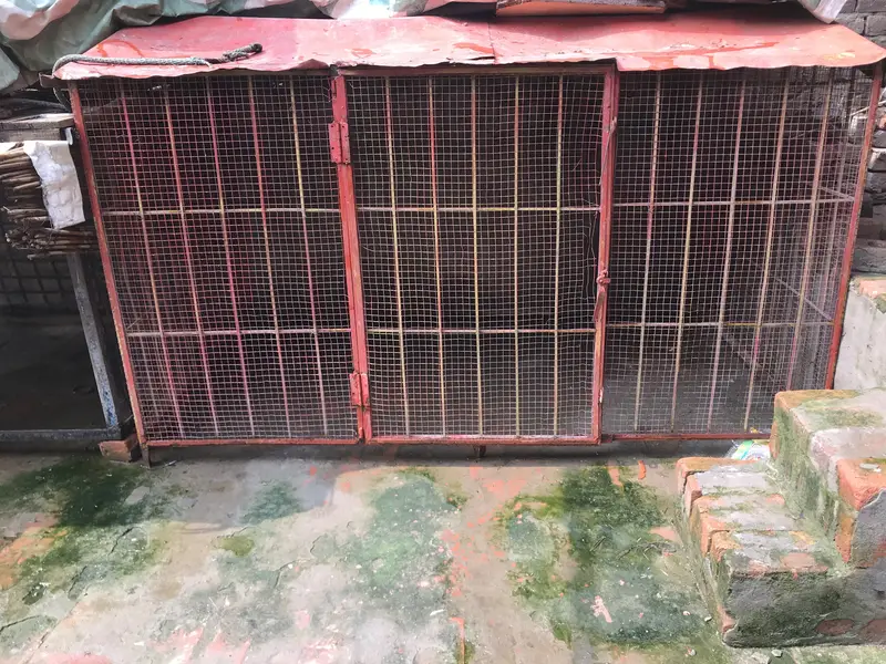 Big cage urgent for sale — photo 3