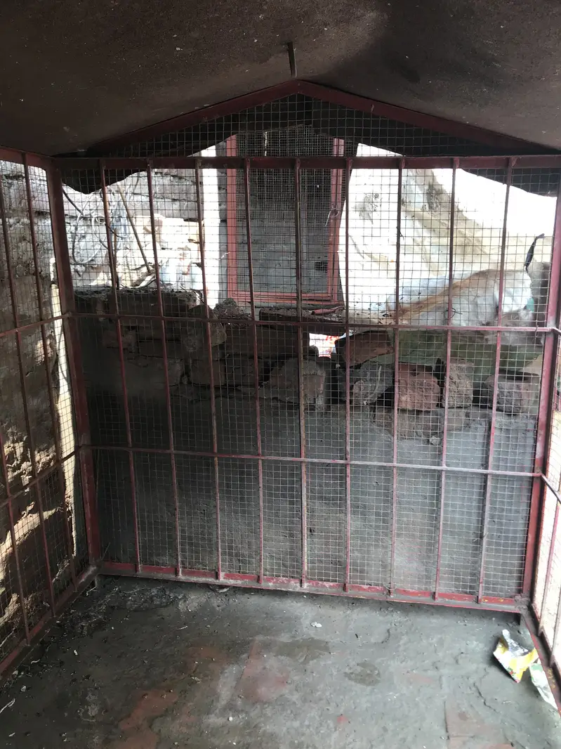 Big cage urgent for sale — photo 4